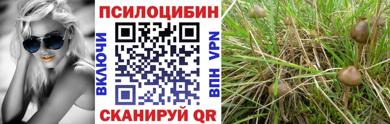 Псилоцибиновые грибы ЛСД  Райчихинск 